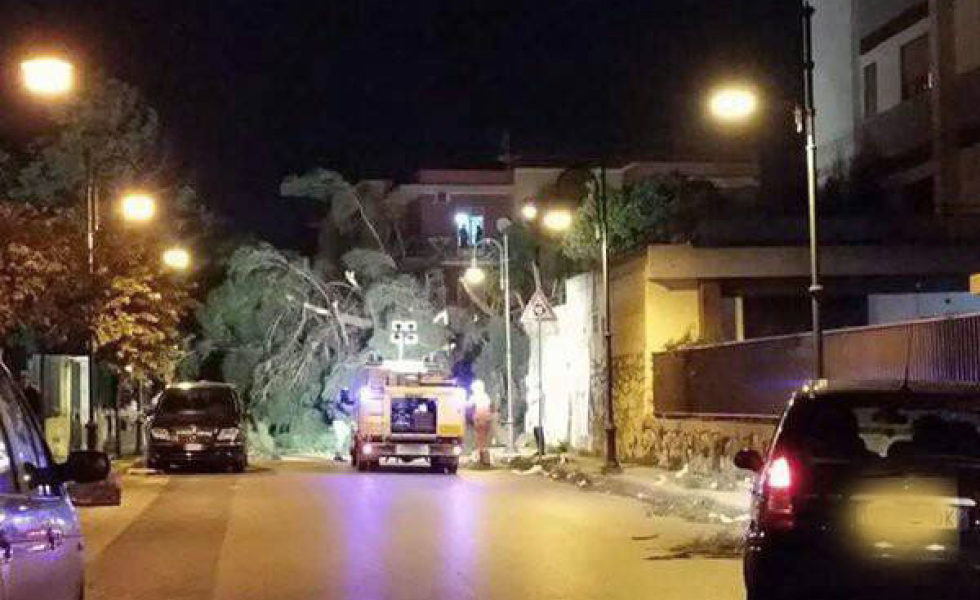 papa charlie protezione civile emergenze